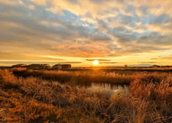 Farmington Bay Waterfowl Management Area - Things to do - Davis County, UT