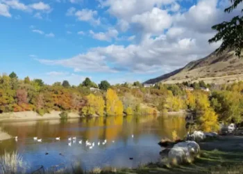 Farmington Pond - Things to do - Davis County, UT