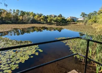 Glasmann Pond - Things to do - Ogden, UT