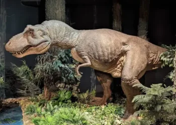 Ogden_s George S. Eccles Dinosaur Park - Top Sites - Ogden, UT