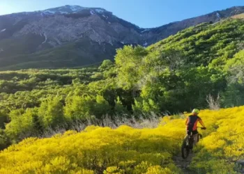 Pleasant View Trailhead - Things to do - Pleasant View, UT