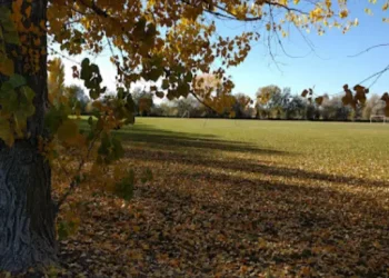 Slaterville Park - Top Sites - Marriott-Slaterville, UT