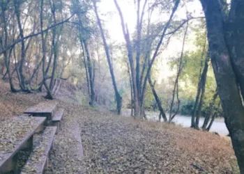 Smithfield Campground - Things to do - Cache County, UT