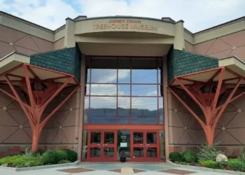 Treehouse Children_s Museum - Top Sites - Ogden, UT