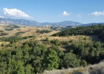 West Canyon Ranch - Things to do - Cache County, UT